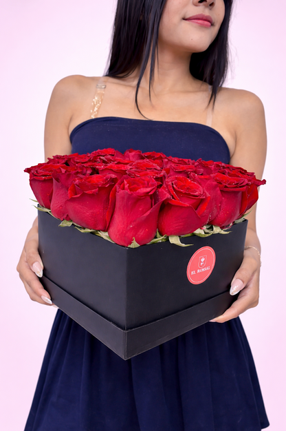 Box Amore