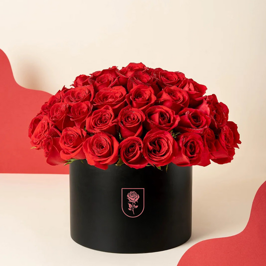 BOX LOVE - 50 ROSAS