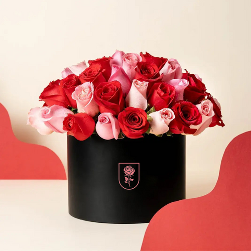 BOX "RADIANT LOVE"